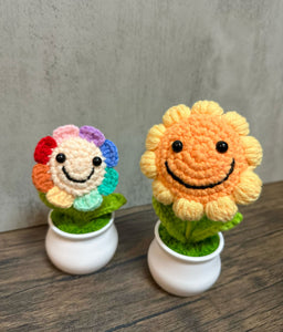 (AFCC-PT-CS) Crochet: Colourful Sunflower in mini pot