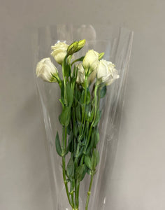 Fresh Cut Flowers & Foliage