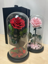 Giant Preserved Rose Glass Dome  - (GDDF-RS30)