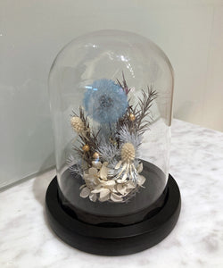 Small Glass Dome with LED Light: Preserved Dandelion