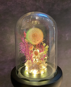 Small Glass Dome with LED Light: Preserved Dandelion