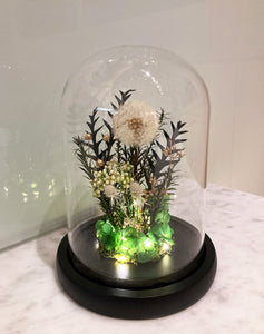 Glass Dome with LED Light: Preserved Dandelion (M)