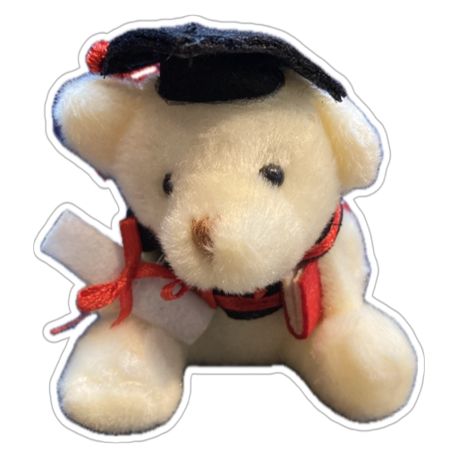 Graduation Bear soft toy (S)