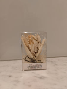 Mini Bouquet in a Box - Dried Flower