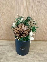 (RDBB-PF-P) Round Bloom Box -  Dried Pine Cone