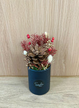 (RDBB-PF-P) Round Bloom Box -  Dried Pine Cone