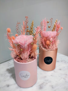(RDBB-CNSC-P) Round Bloom Box - Preserved Flower: Single Colour Carnation