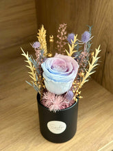 (RDBB-PFDR-P) Round Bloom Box - Preserved Flower: Dual tone/ Rainbow Colour Rose