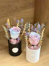 (RDBB-PFDR-P) Round Bloom Box - Preserved Flower: Dual tone/ Rainbow Colour Rose