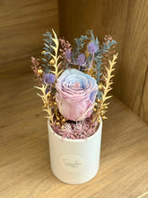 (RDBB-PFDR-P) Round Bloom Box - Preserved Flower: Dual tone/ Rainbow Colour Rose
