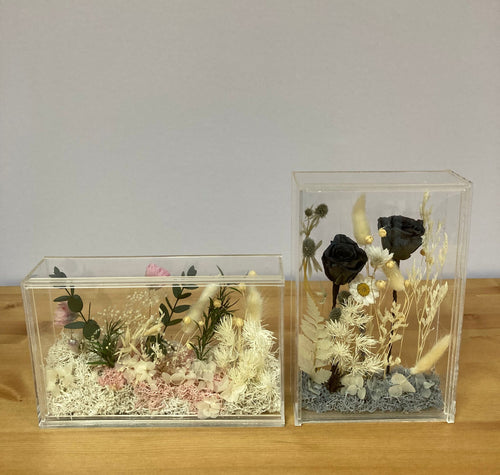 Preserved/Dried Flower in Acrylic Showcase Box