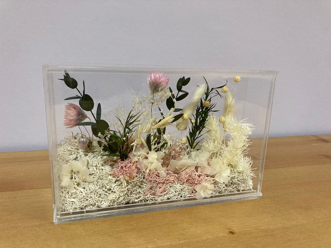 Preserved/Dried Flower in Acrylic Showcase Box