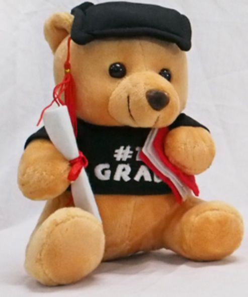 Graduation Bear Soft Toy