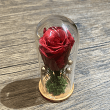 Mini Glass Dome (4cm x 9cm H) with Preserved Mini Rose