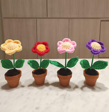 Crochet: Flower Pot