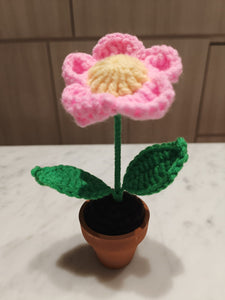 Crochet: Flower Pot