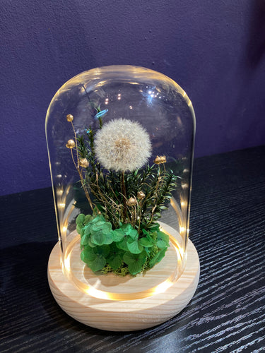 Small Glass Dome with LED Light: Preserved Dandelion