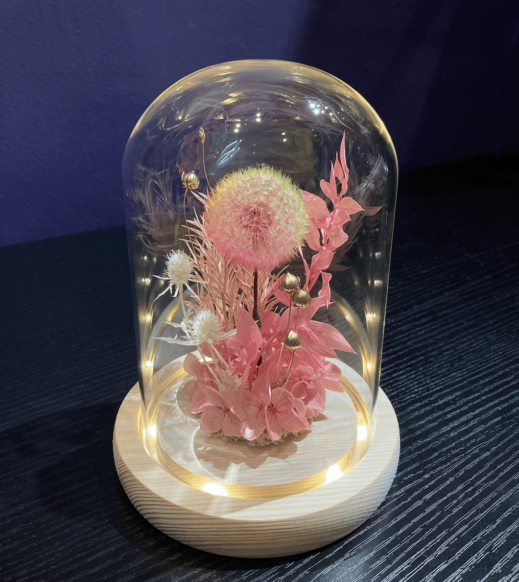 Small Glass Dome with LED Light: Preserved Dandelion