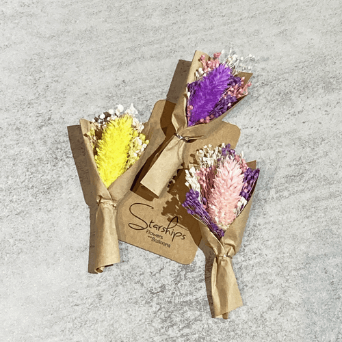 Micro Meadow Bouquet - Dried Phalaris