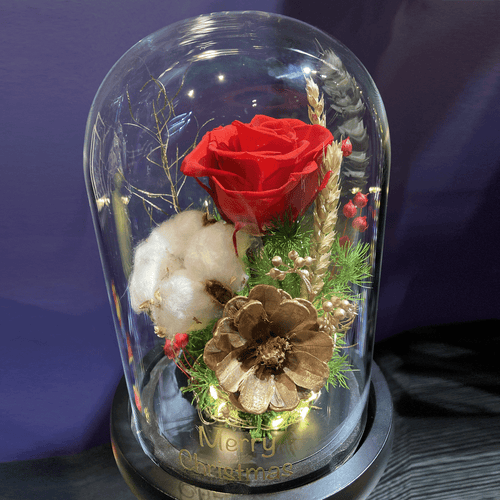 Glass Dome with LED Light: Stardust