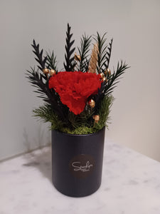 (RDBB-CNSC-P) Round Bloom Box - Preserved Flower: Single Colour Carnation