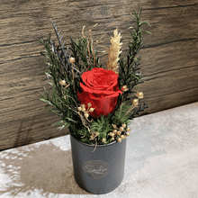 (RDBB-PFSC-P) Round Bloom Box - Preserved Flower: Single Colour Rose