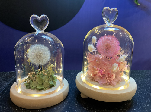 Petite Glass Dome with LED Light: Preserved Dandelion