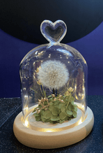 Petite Glass Dome with LED Light: Preserved Dandelion