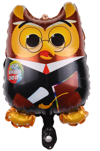 Mini Graduation Owl